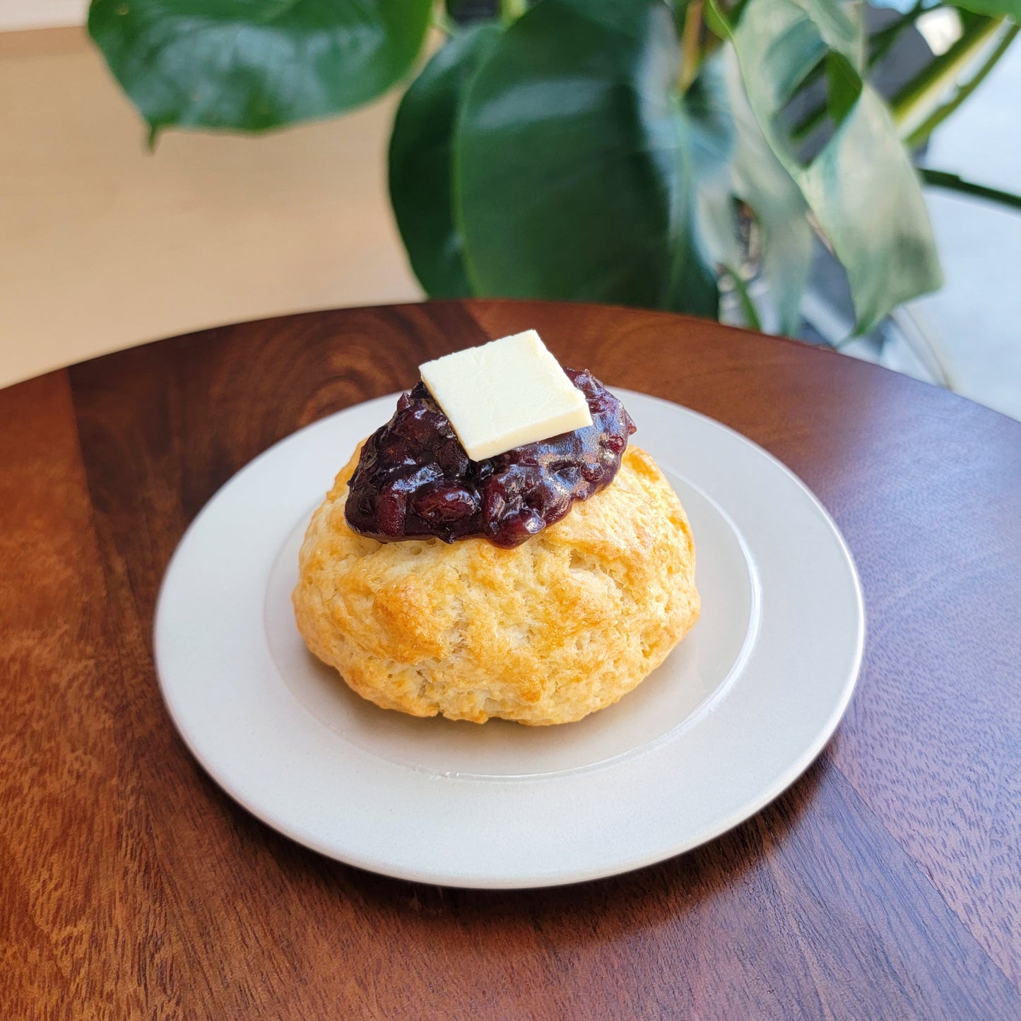 Adzuki Bean Mochi